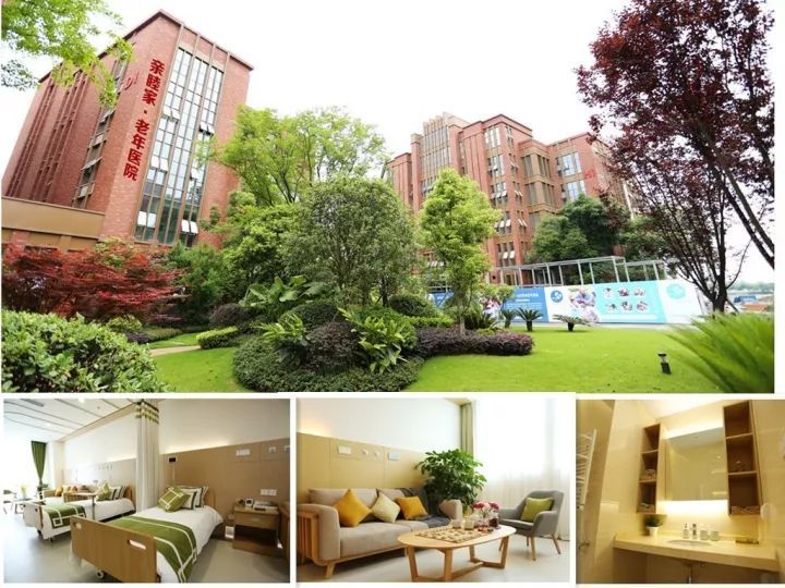 亲睦家斩获两项大奖-引领医养产业新高度