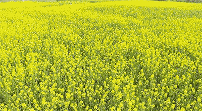 成都亲睦家养老生活方式