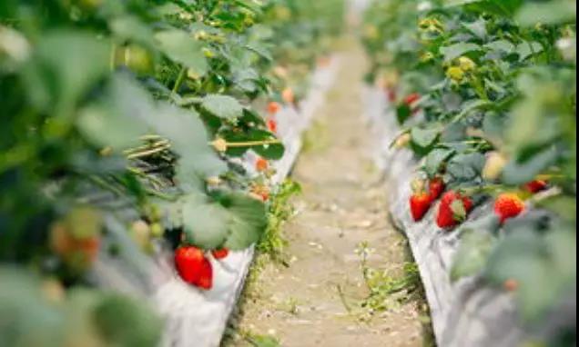 成都亲睦家养老生活方式