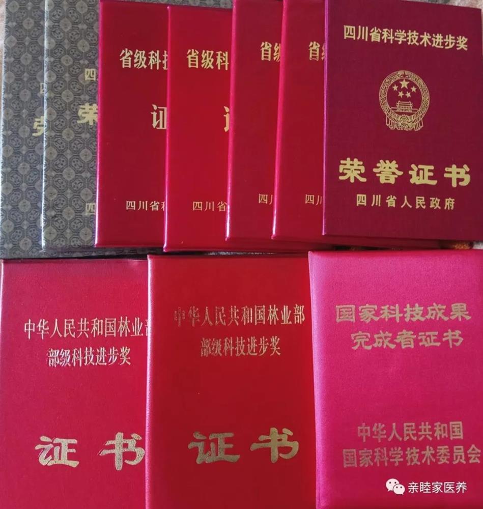 成都养老亲睦家七夕&middot;54年的爱情