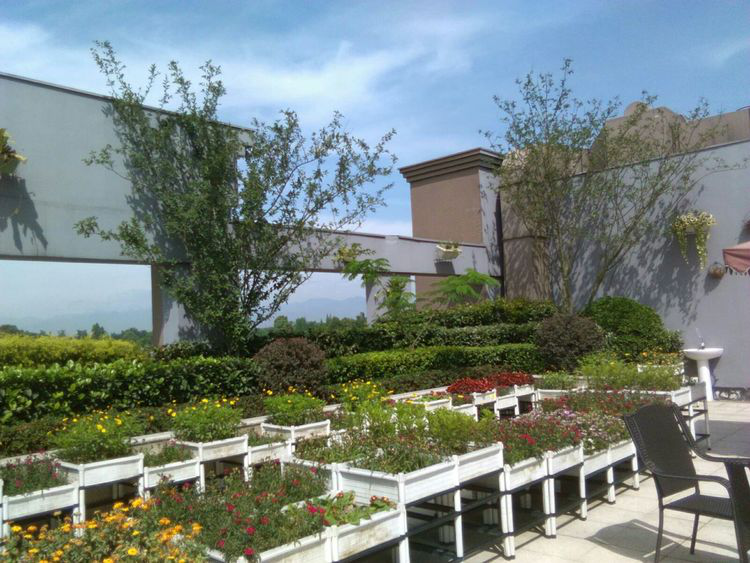 亲睦家健康公寓外面风景