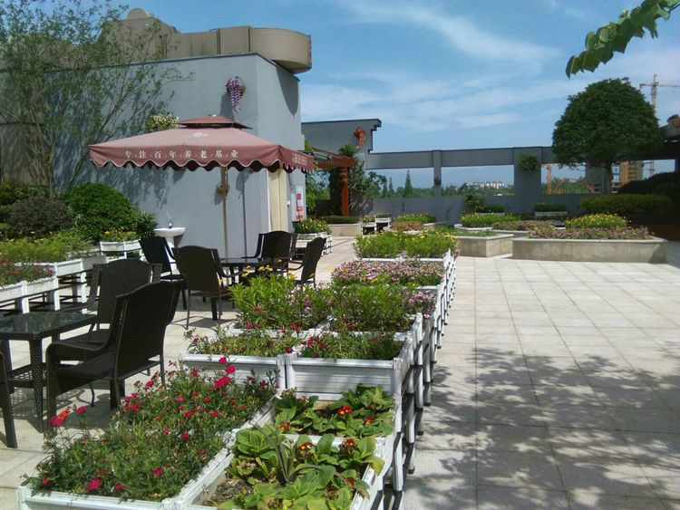 亲睦家健康公寓外面风景