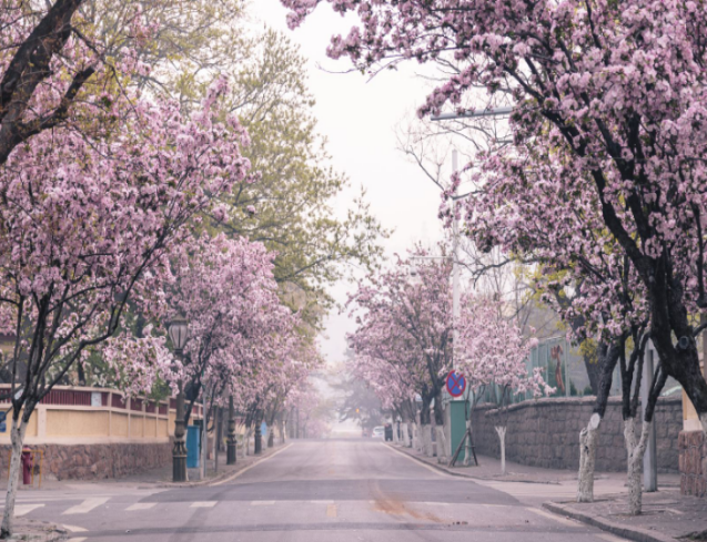 成都养老院旅居养老
