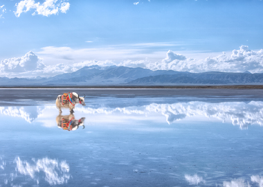 成都亲睦家养老院旅居养老