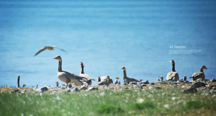 成都亲睦家养老院旅居养老