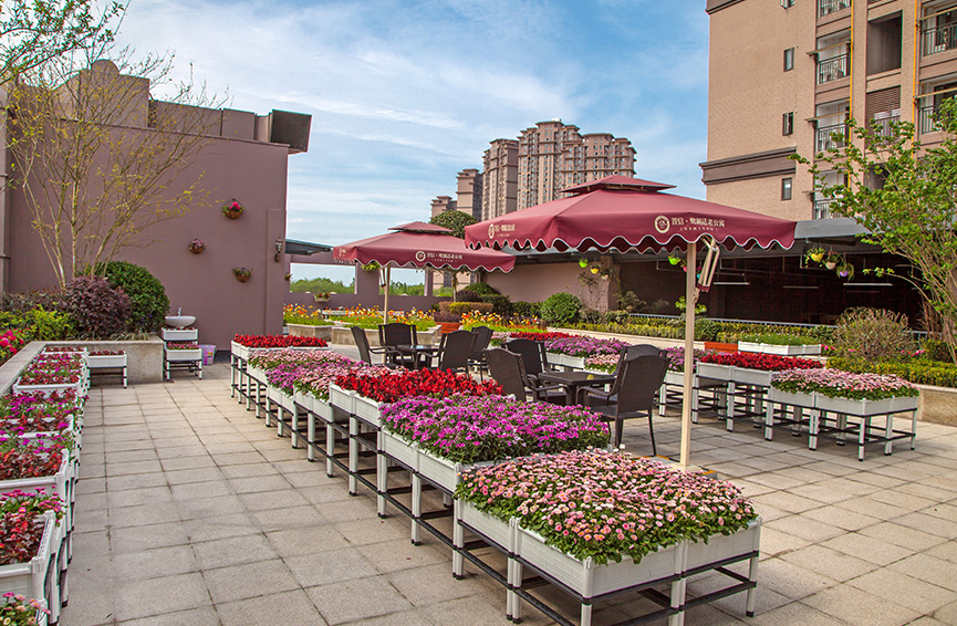 亲睦家旅居养老鹭湖健康公寓空中花园