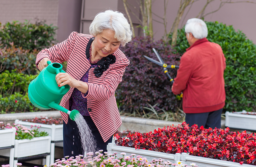 成都养老院亲睦家