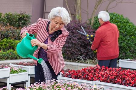 分类图片 到养老院去养老，您考虑过吗？