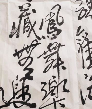 分类图片 成都养老亲睦家：你知道吗，我们一直在跟命运较劲！