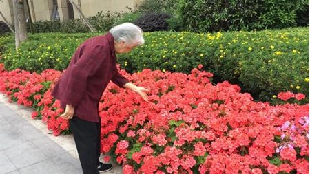 分类图片 成都养老院乐享天伦，颐养年寿